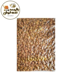 photo output 5 صفحه اصلی