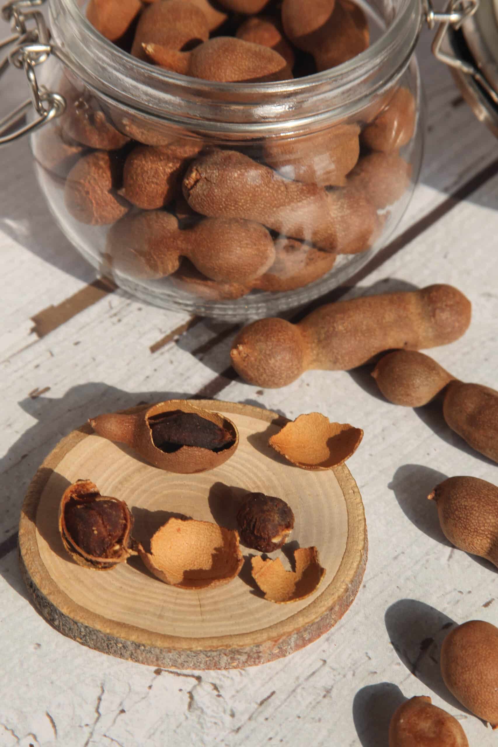 IMG_9692 تمرهندی ملس - 350 گرم - Image 1