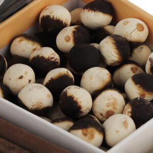 IMG 6531 صفحه اصلی