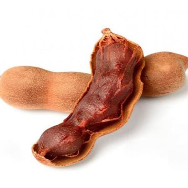 IMG 2237 گنجینه ای ترش مزه از دل طبیعت : همه چیز درباره تمرهندی و روش های مصرف آن