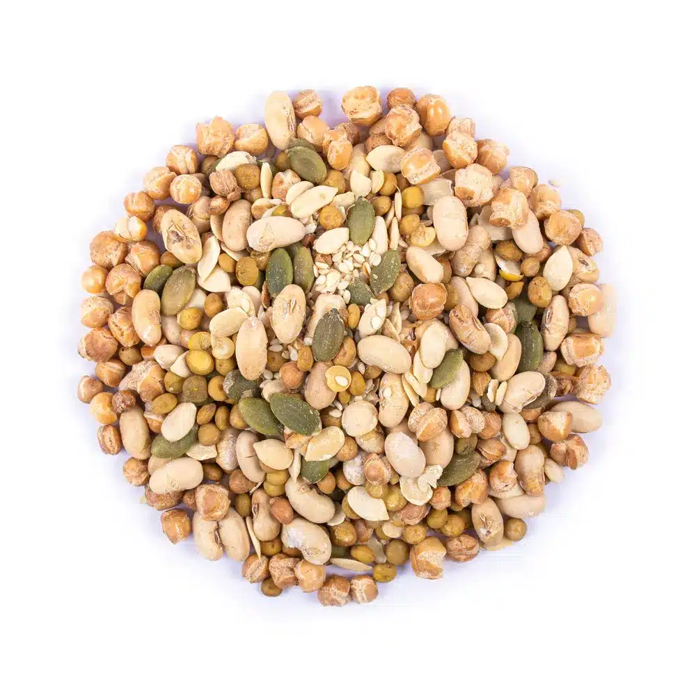 IMG 2473 آجیل رژیمی ؛ خوشمزگی بدون عذاب وجدان