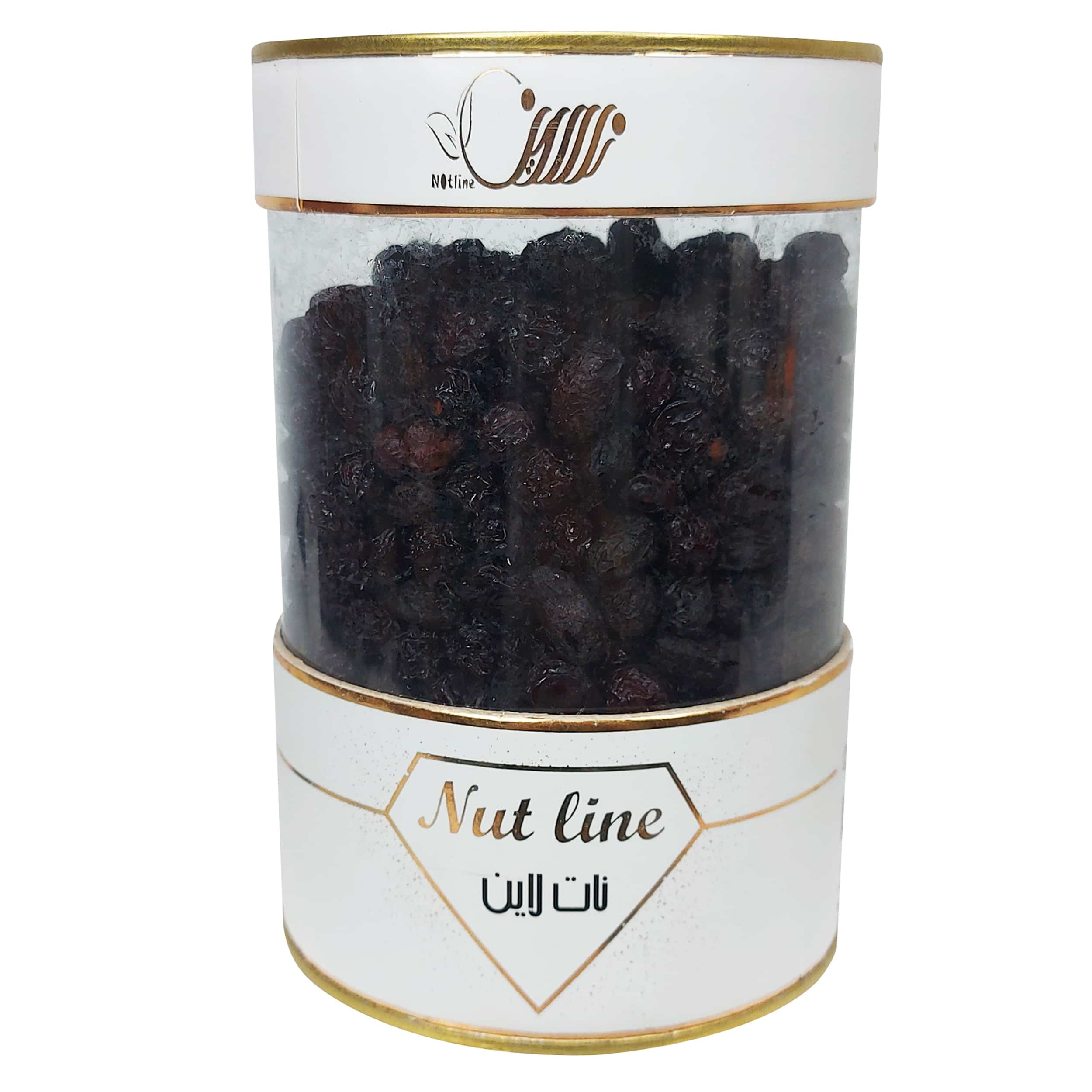 IMG 2651 زغال اخته ؛ میوه ای کوچک با خواص شگفت انگیز که باید در رژیم غذایی‌تان باشد!