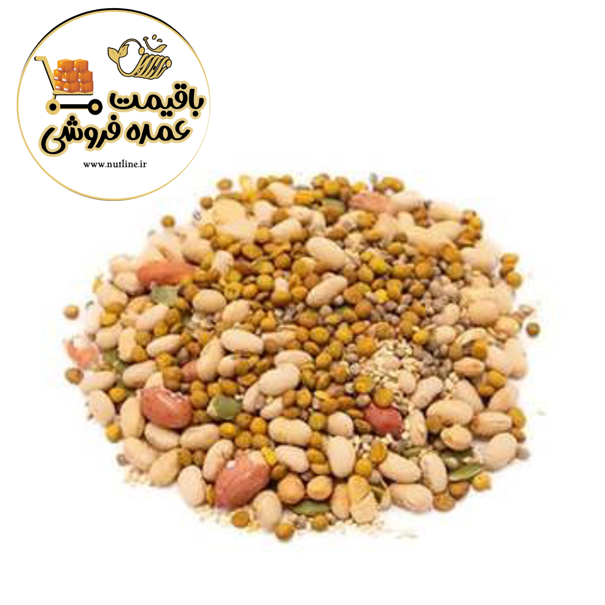 IMG 2814 آجیل رژیمی : سوختی سالم و مغذی برای تناسب اندام و سلامت دستگاه گوارش