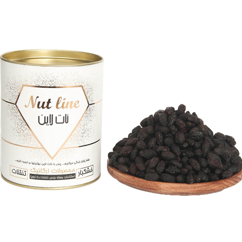 IMG 2836 ترشی خوش طعم سلامت : زغال اخته خشک نات لاین میان وعده ای کوچک با فواید بزرگ