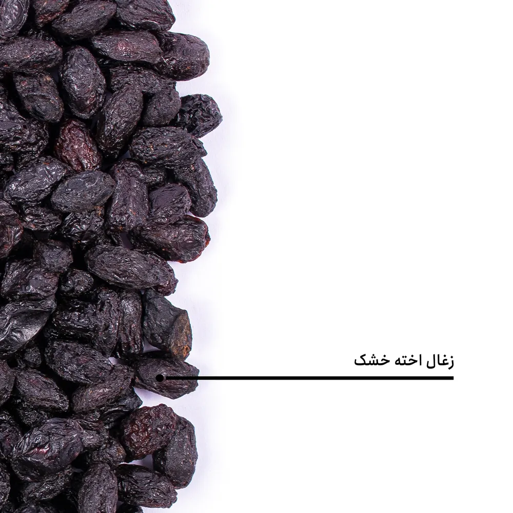 IMG 2955 زغال اخته : اکسیر طبیعی سلامتی و نحوه مصرف صحیح آن