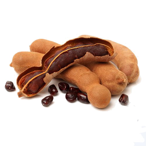 IMG 2956 تمر هندی : دو روایتی از طعم و خواص شگفت انگیز این میوه استوایی