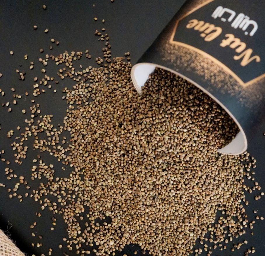 IMG 3208 شاهدانه بوداده ؛ طلای کوچک با خواص درمانی شگفت انگیز