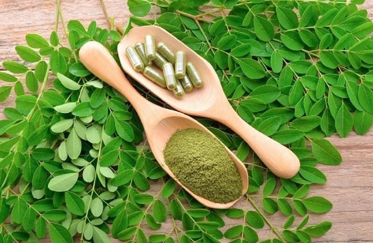 IMG 5326 دمنوش مورینگا نات لاین ؛ یک فنجان تا سلامتی کامل