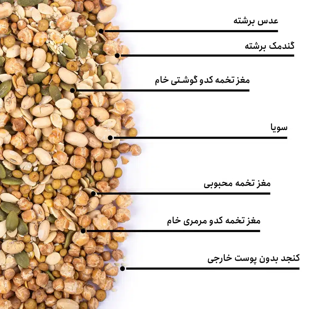 IMG 5484 نات لاین ؛ خوشمزه و سالم ، تجربه ای نو از آجیل رژیمی برای تناسب اندام
