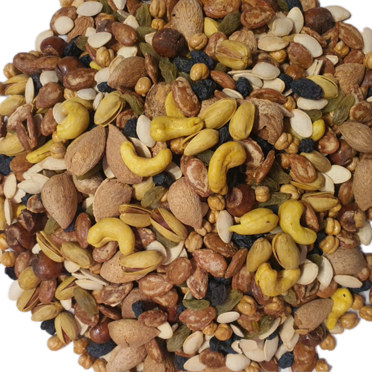 IMG 5754 صفحه اصلی